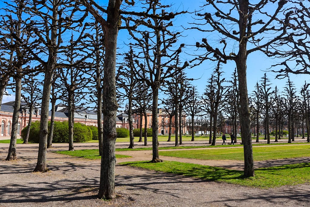Schwetzingen, Schloss, Zirkelbau