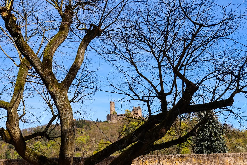 Weinheim, Schlossgarten, Windeck