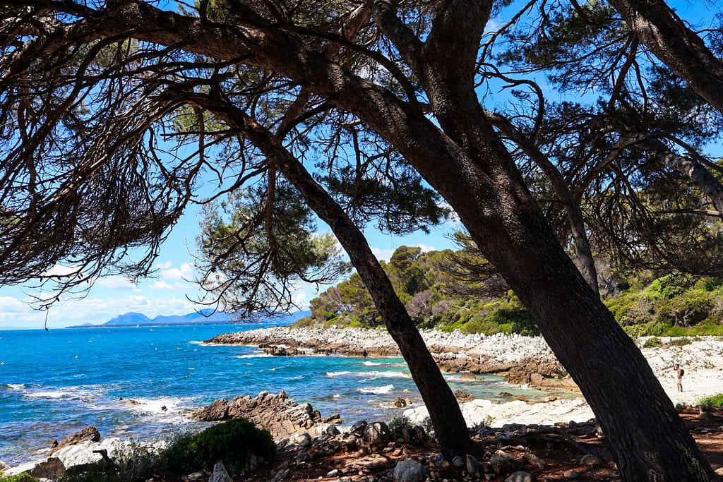 Antibes, Cap, Sentier Littoral