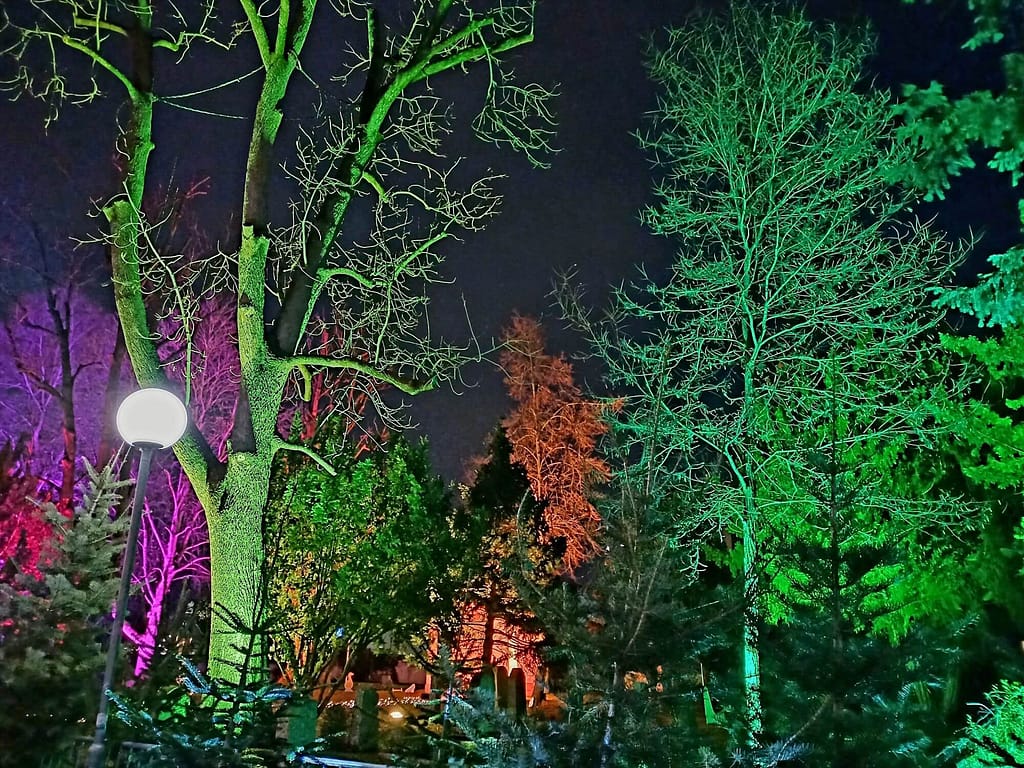 Märchenwald, alter Friedhof, Fellbacher Weihnachtsmarkt