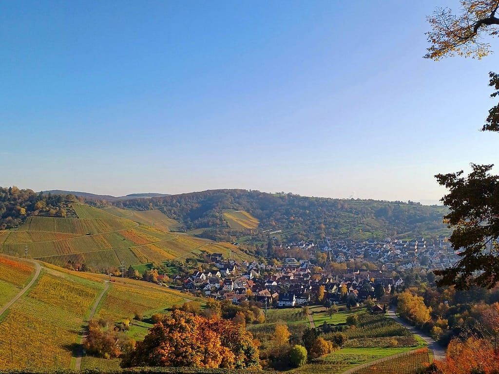 Stuttgart-Rotenberg, Weinberge, Uhlbach
