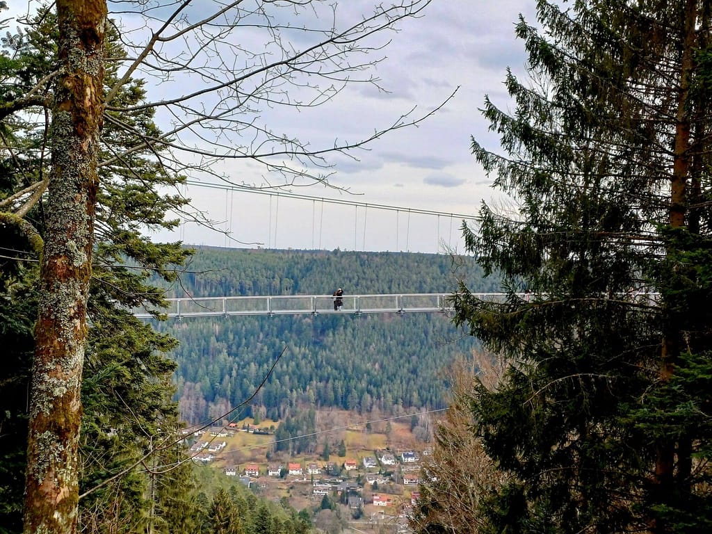 Hängebrücke, Wildline, Sommerberg, Bad Wildbad