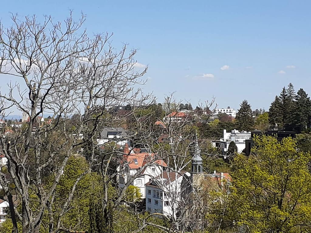 Der Blick vom Stuttgarter Weißenburgpark über die Villen in Halbhöhenlage von Stuttgart-Süd