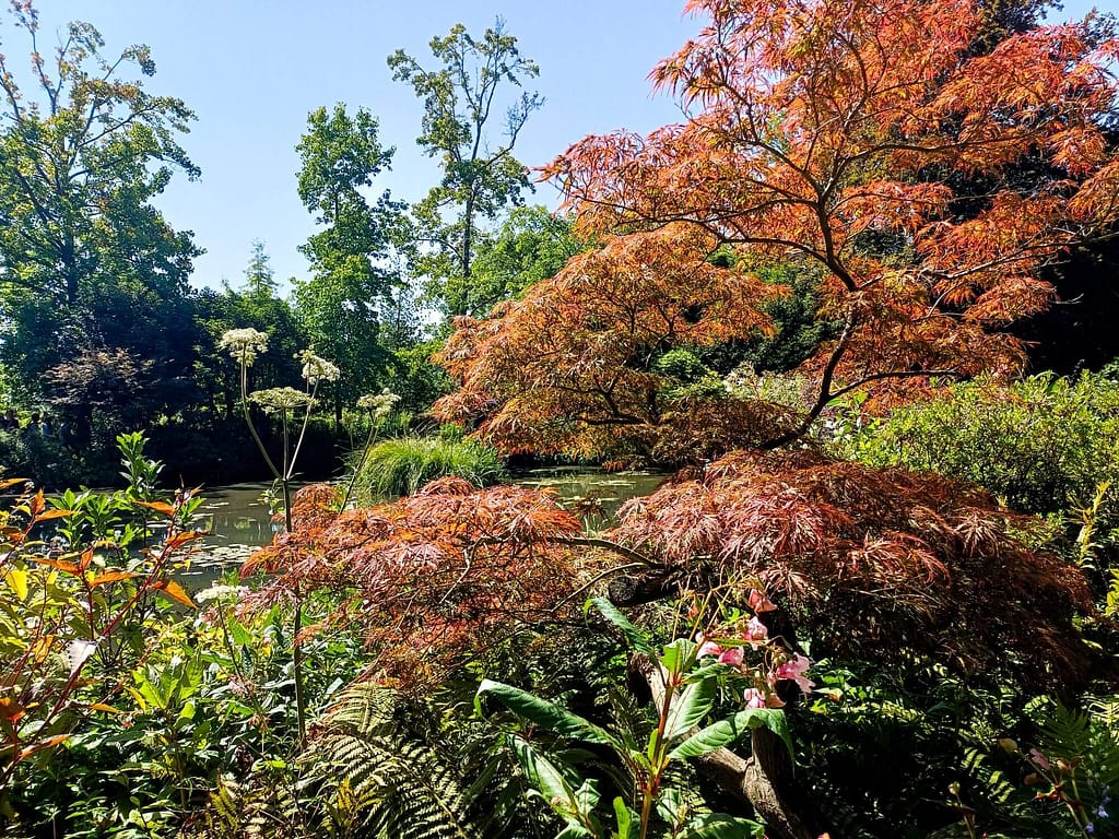 Giverny, Monet, Gärten