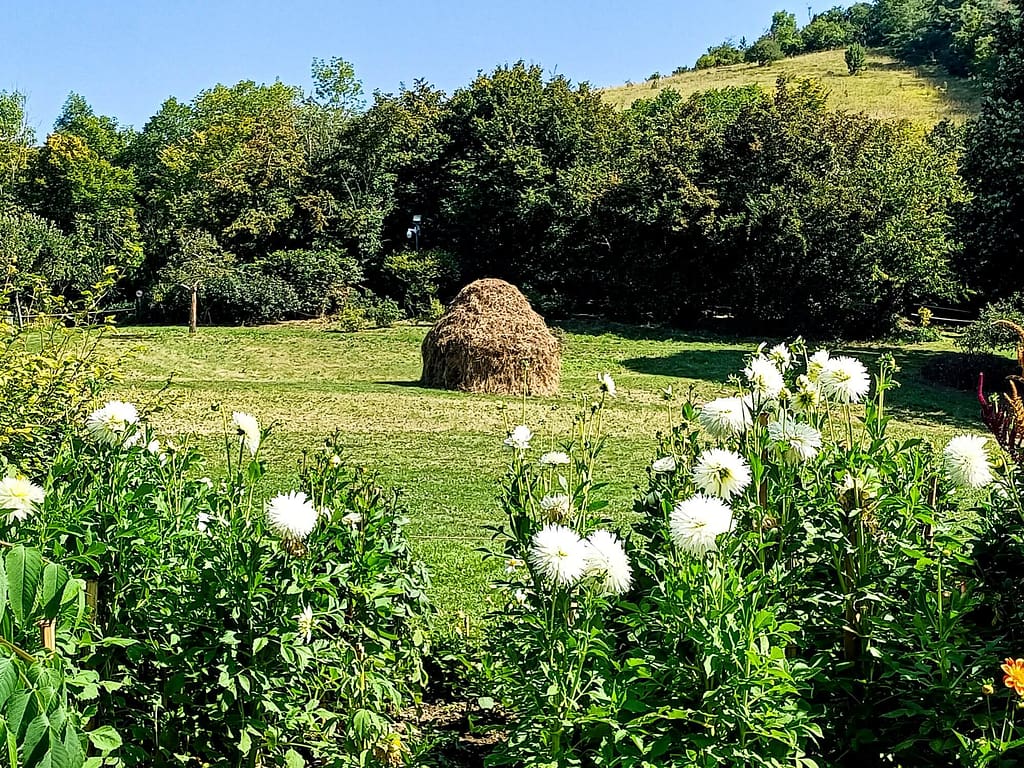 Giverny, Musée des Impressionismes