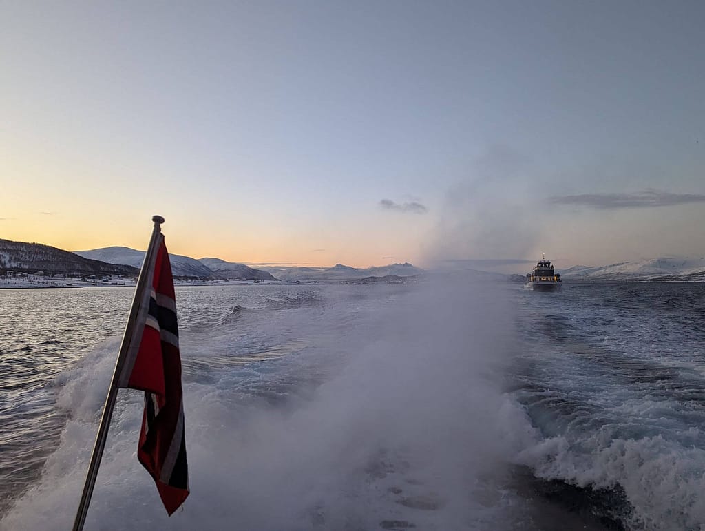 Brim Explorer, Tromso, Walbeobachtung