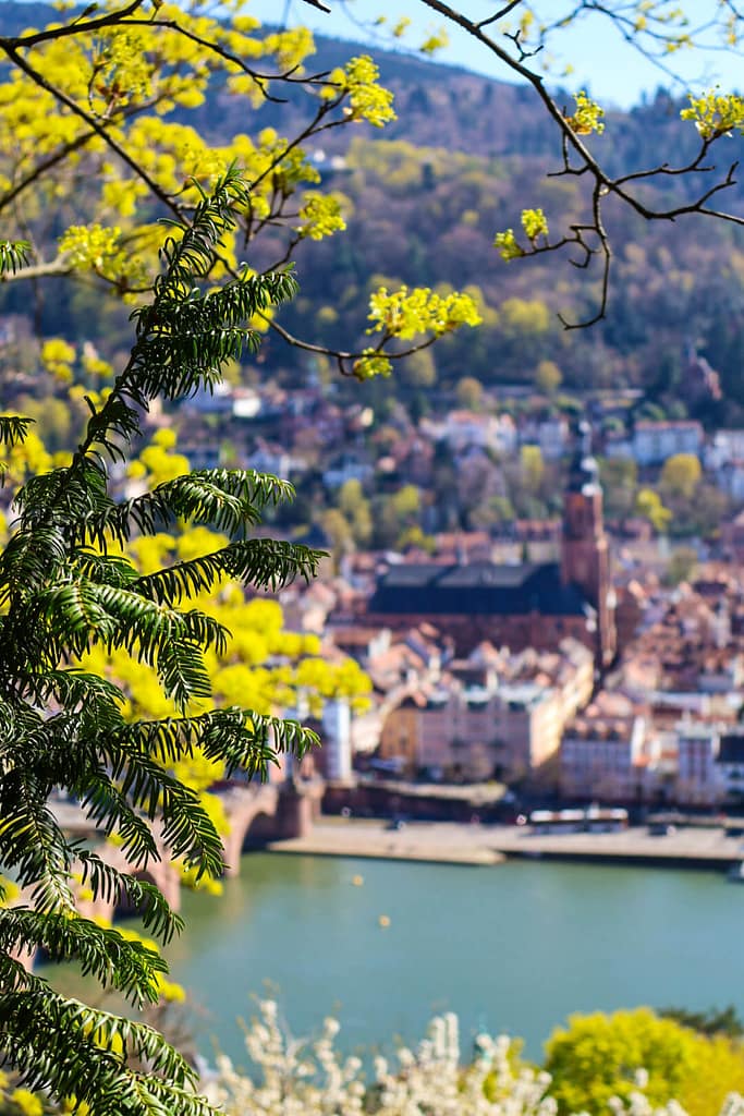 Heidelberg, Philosophenweg