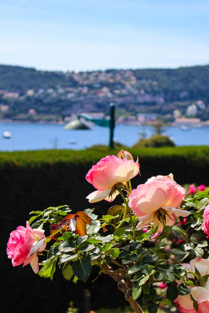 Villa Ephrussi de Rothschild, Rosengarten