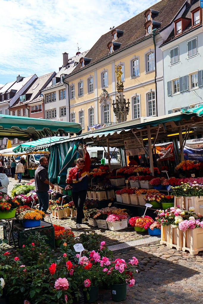 Freiburg, Altstadt, Markt
