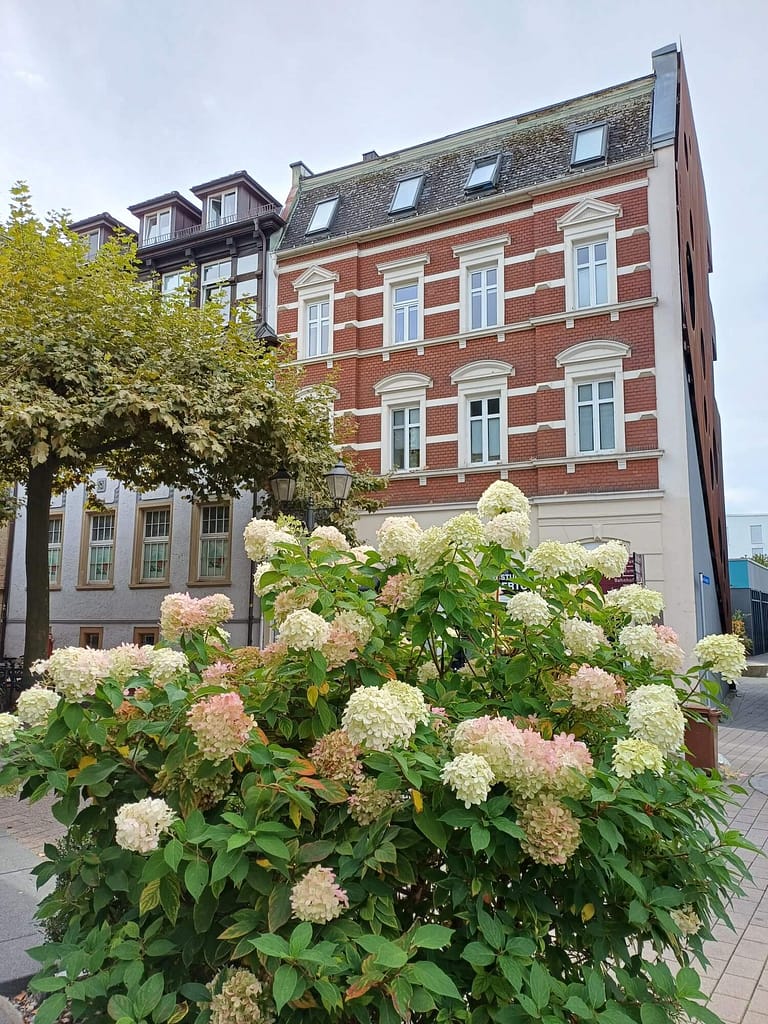 Schützenstraße, Radolfzell
