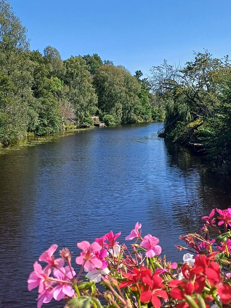 Ronnebyån, Ronneby