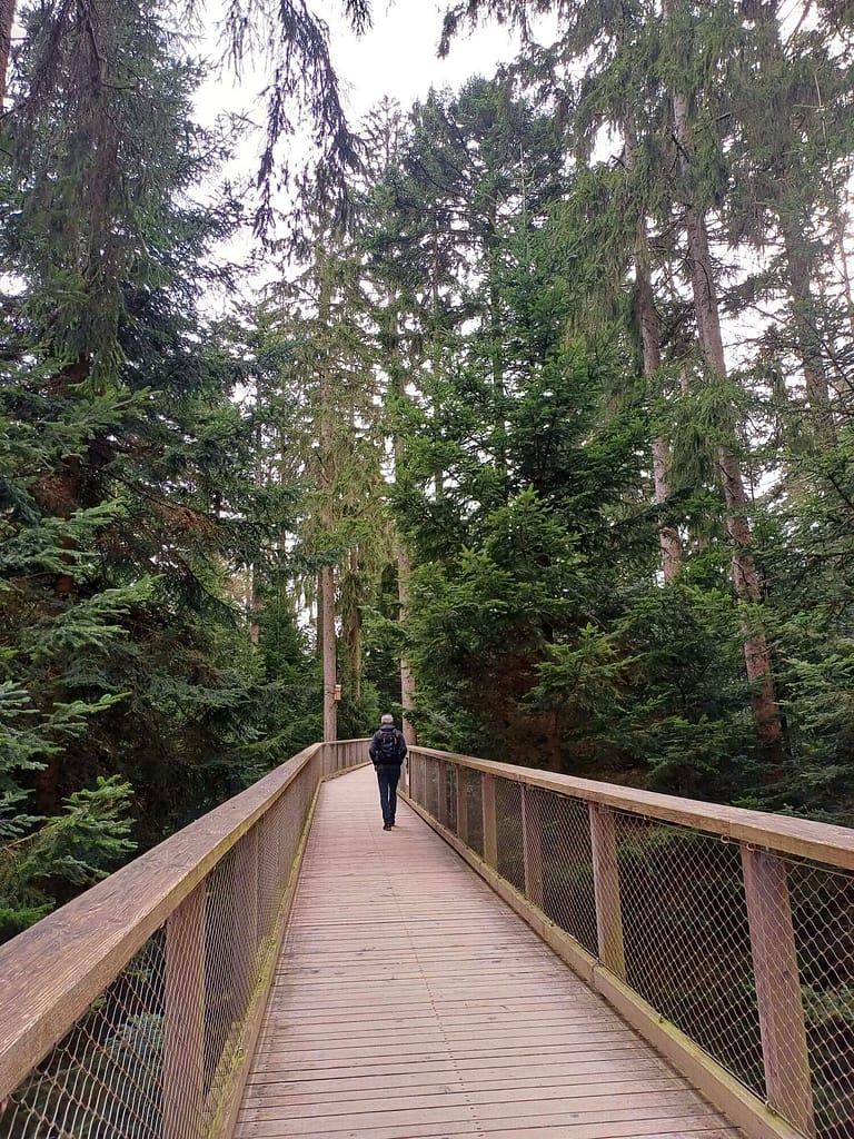 Baumwipfelpfad, Sommerberg, Bad Wildbad