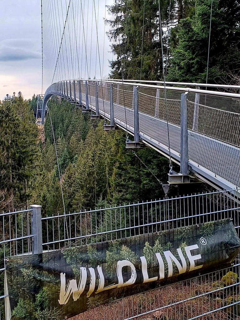 Hängebrücke, Wildline, Sommerberg, Bad Wildbad