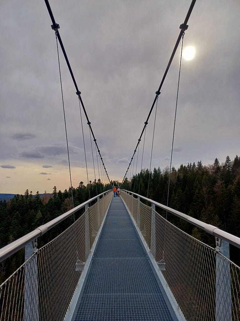 Hängebrücke, Wildline, Sommerberg, Bad Wildbad