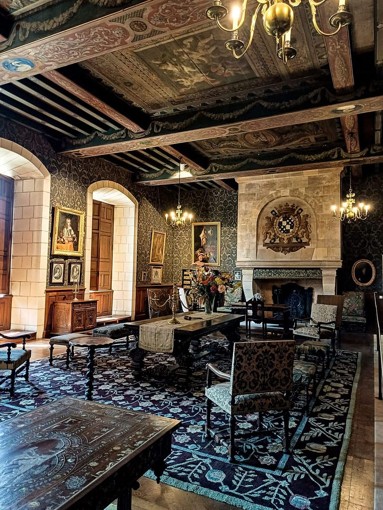 Château d'Azay-le-Ferron