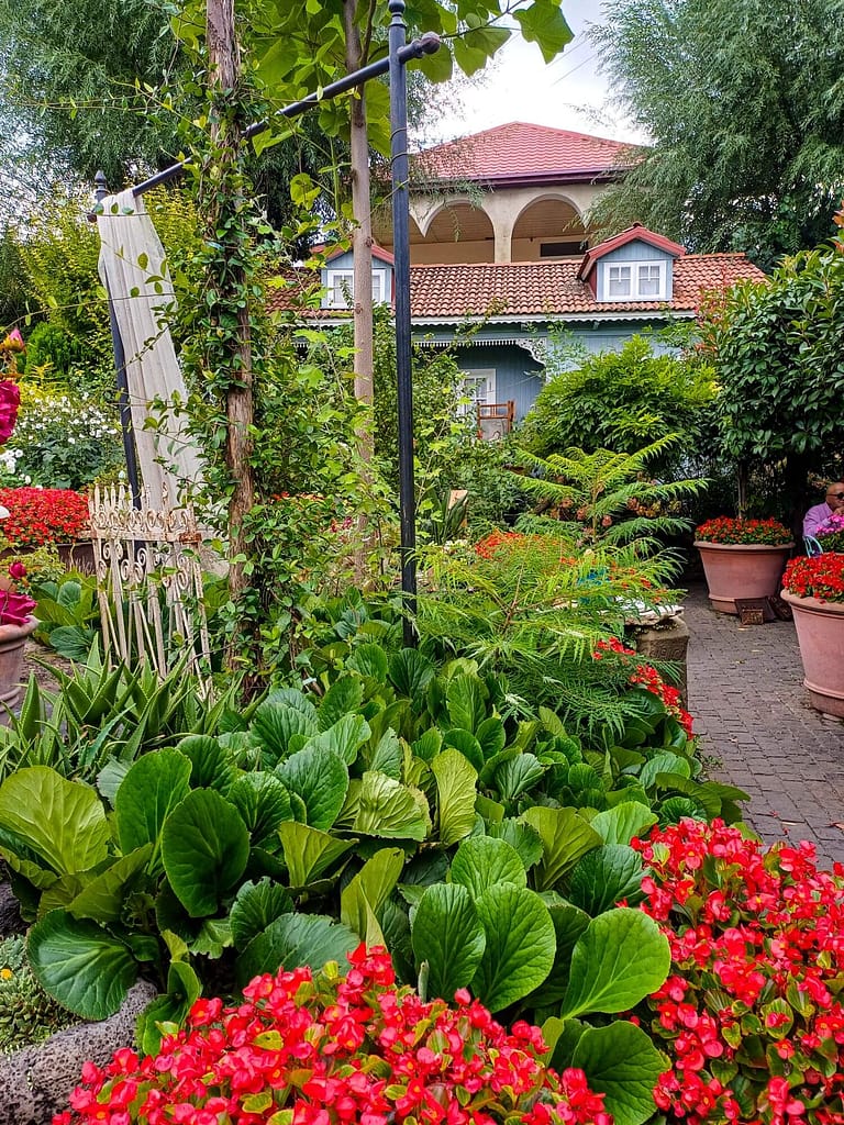 Tiflis, Gardenia Shevardnadze