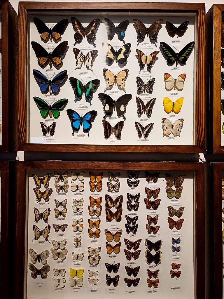 Tiflis, Nationalmuseum