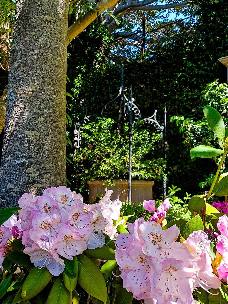 Villa Ephrussi de Rothschild, Garten