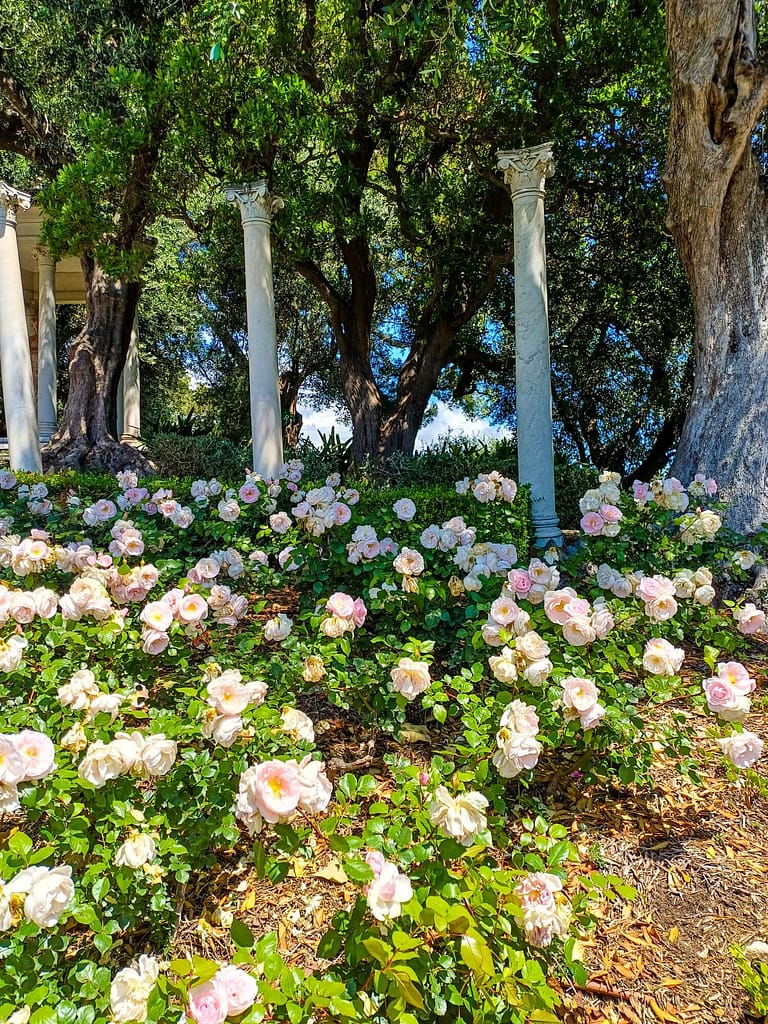 Villa Ephrussi de Rothschild, Rosengarten