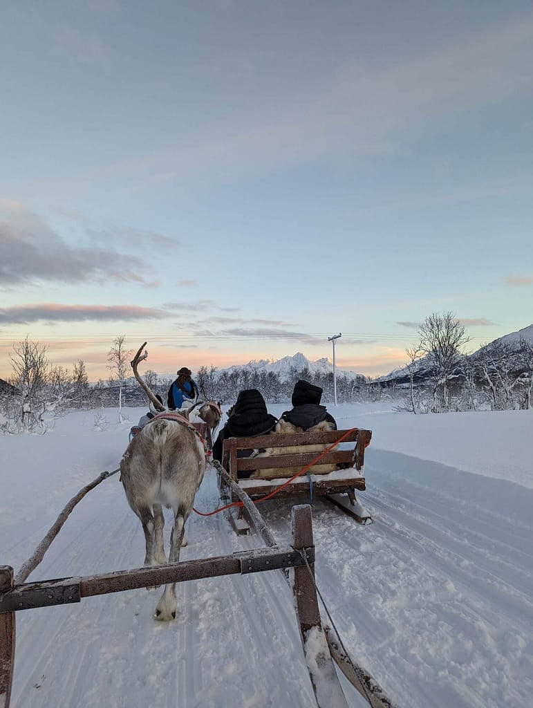 Rentier-Schlittenfahrt, arktisch, Winterlandschaft, Tromso Lapland Reindeer Camp